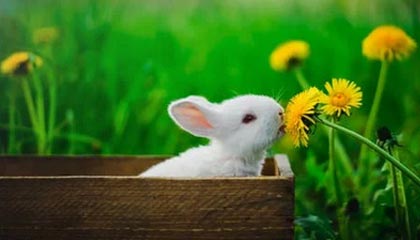 汉中伴游，定制QQ：3494206190微信：act1322